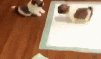 A cute little kiss