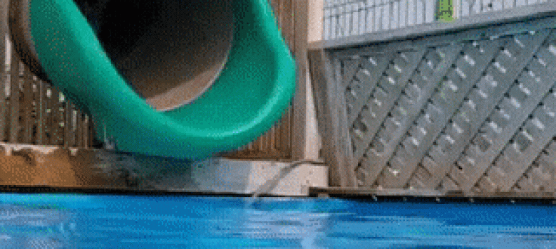 Dog using water slide