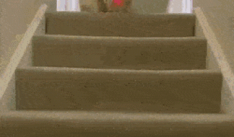 Go get the colored balls