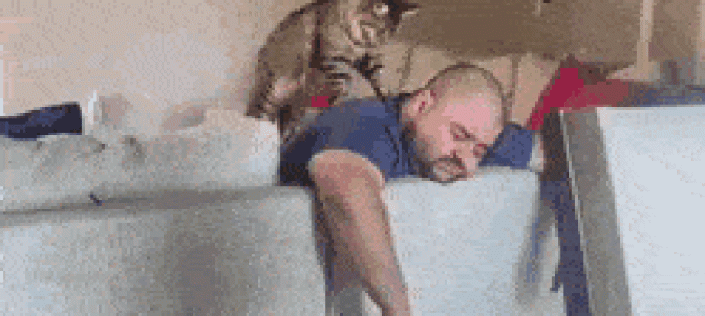 When the cat doesn’t live rent free in your house