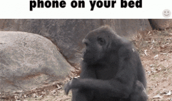 When you lose your phone