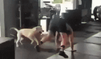 You can do it hooman